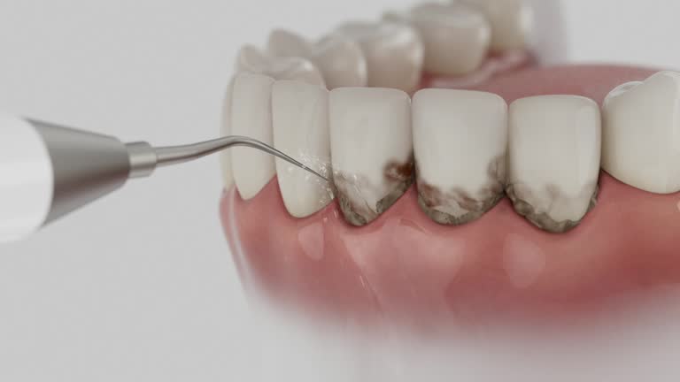 Reliable Dental contractor in Alexandria, LA by Dentist Open Now